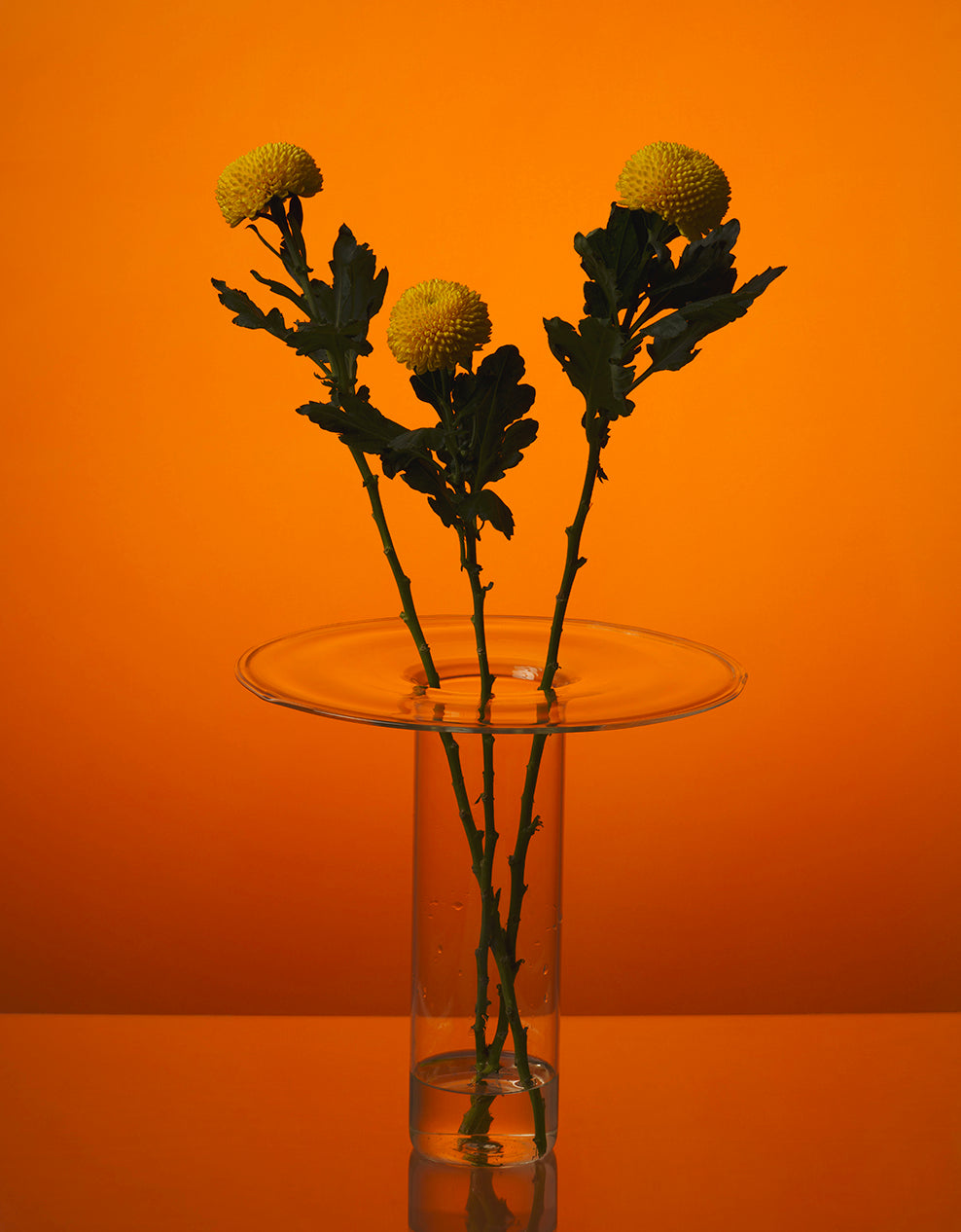 Collectors Vase
