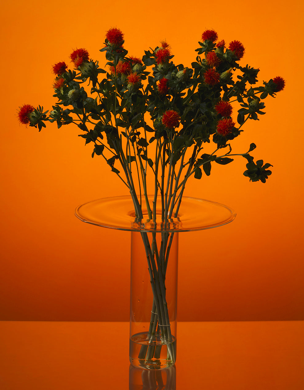 Collectors Vase