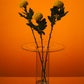 Collectors Vase