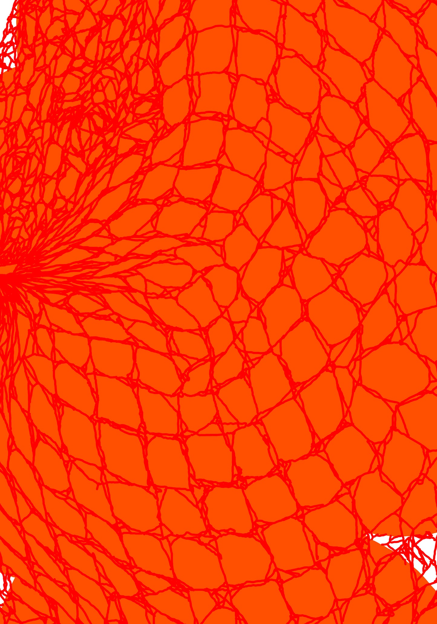 Oranges